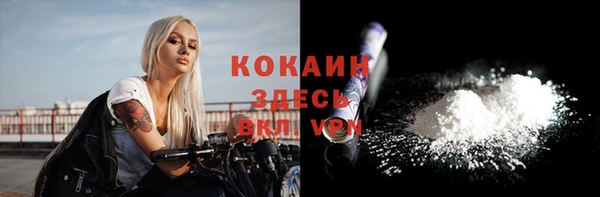 тгк Алексин