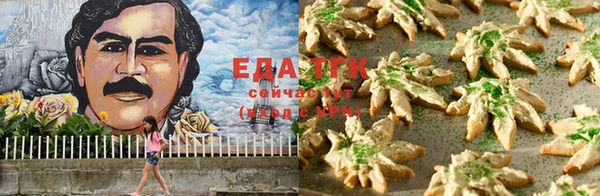 тгк Алексин
